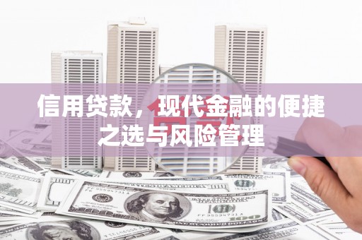 中西信用贷款，现代金融的便捷之选与风险管理