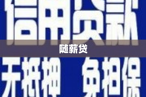泊头随薪贷
