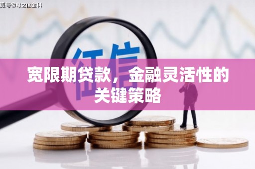 长岭宽限期贷款，金融灵活性的关键策略