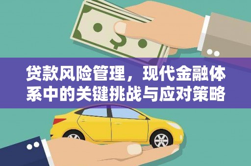 东乡族贷款风险管理，现代金融体系中的关键挑战与应对策略