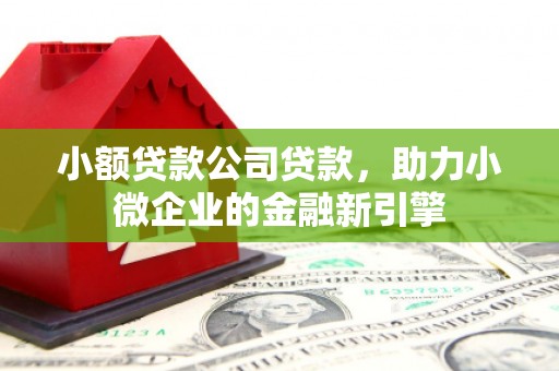 根河小额贷款公司贷款，助力小微企业的金融新引擎