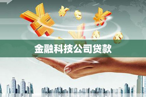 嘉禾金融科技公司贷款
