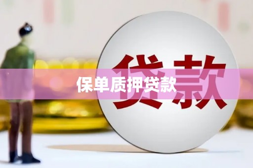 怀化保单质押贷款