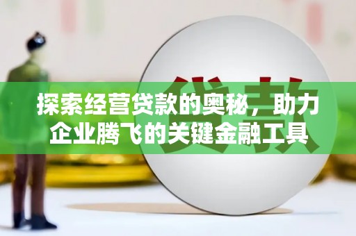 美姑探索经营贷款的奥秘，助力企业腾飞的关键金融工具