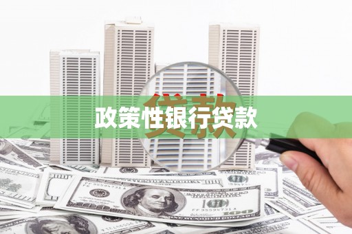 偃师政策性银行贷款