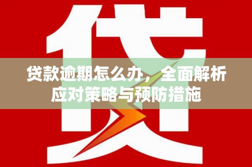 碑林贷款逾期怎么办，全面解析应对策略与预防措施