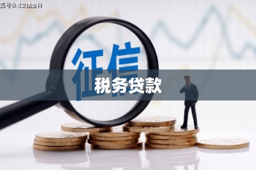 中国香港税务贷款