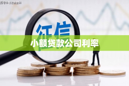 平陆小额贷款公司利率