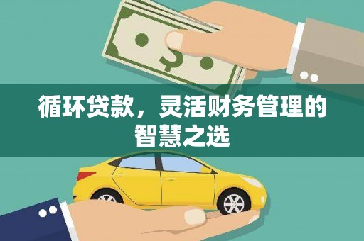山阳循环贷款，灵活财务管理的智慧之选