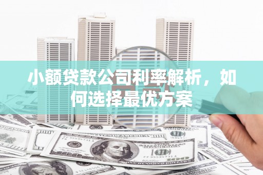 红安小额贷款公司利率解析，如何选择最优方案
