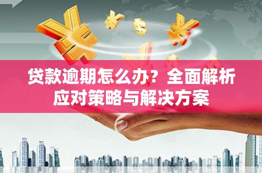 沙湾贷款逾期怎么办？全面解析应对策略与解决方案