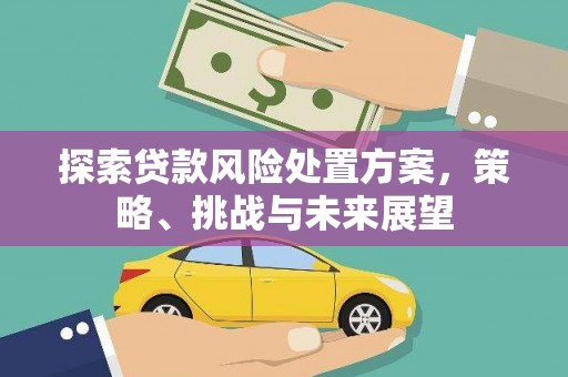 佛坪探索贷款风险处置方案，策略、挑战与未来展望
