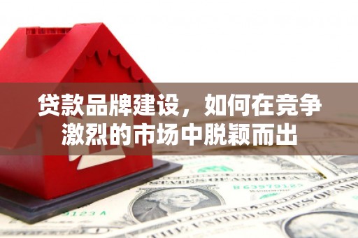 渭源贷款品牌建设，如何在竞争激烈的市场中脱颖而出