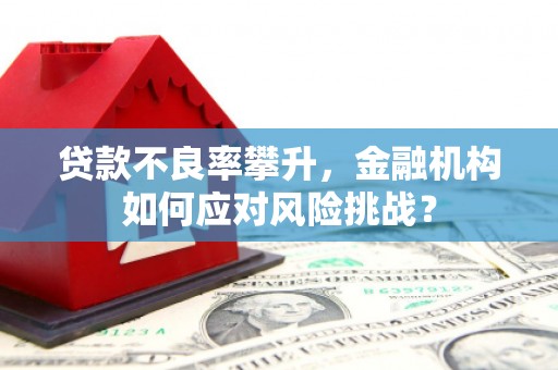 南山贷款不良率攀升，金融机构如何应对风险挑战？