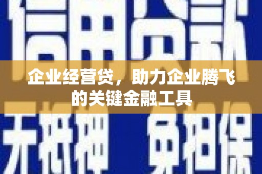 罗山企业经营贷，助力企业腾飞的关键金融工具