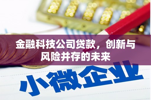 沂源金融科技公司贷款，创新与风险并存的未来