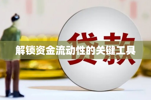 龙沙解锁资金流动性的关键工具