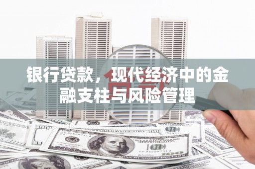 泽普银行贷款，现代经济中的金融支柱与风险管理