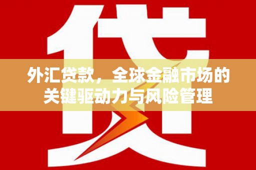 始兴外汇贷款，全球金融市场的关键驱动力与风险管理