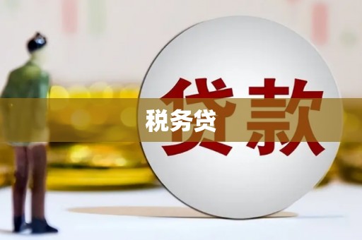 湖西税务贷