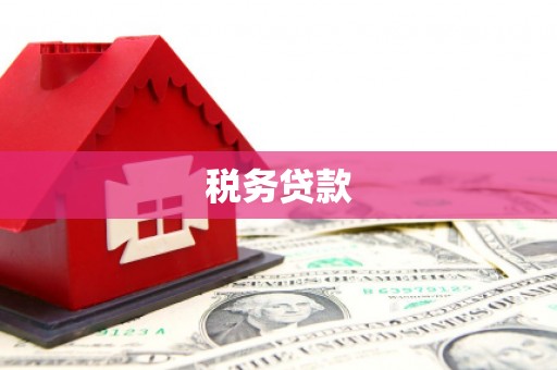 靖西税务贷款