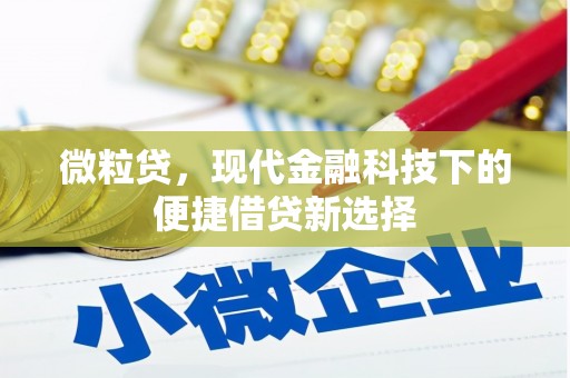 温州微粒贷，现代金融科技下的便捷借贷新选择