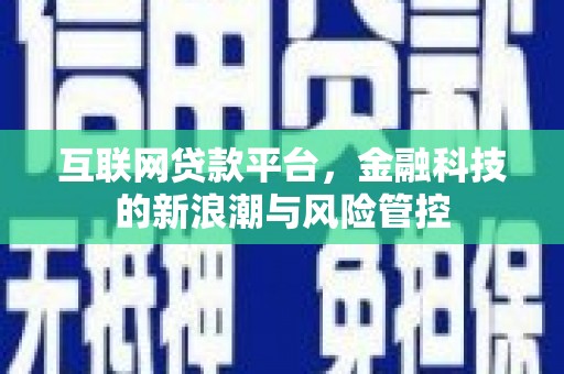 岳阳互联网贷款平台，金融科技的新浪潮与风险管控