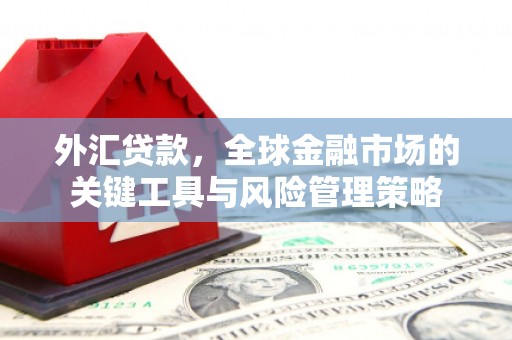 平泉外汇贷款，全球金融市场的关键工具与风险管理策略