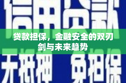 岱山贷款担保，金融安全的双刃剑与未来趋势