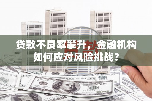 沙坡头贷款不良率攀升，金融机构如何应对风险挑战？