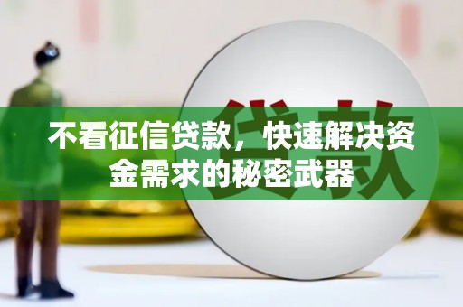 望城不看征信贷款，快速解决资金需求的秘密武器
