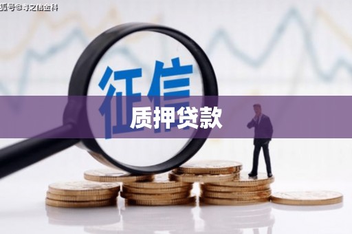 宜章质押贷款