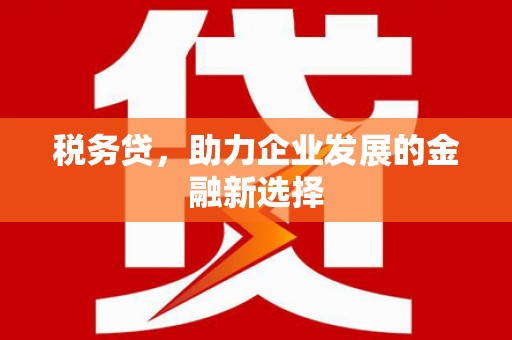 沙依巴克税务贷，助力企业发展的金融新选择