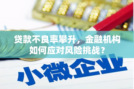 资溪贷款不良率攀升，金融机构如何应对风险挑战？