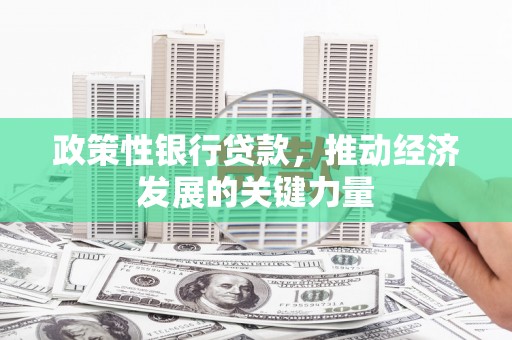 临沭政策性银行贷款，推动经济发展的关键力量