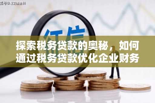 施秉探索税务贷款的奥秘，如何通过税务贷款优化企业财务