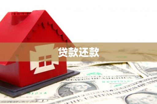 卫东贷款还款