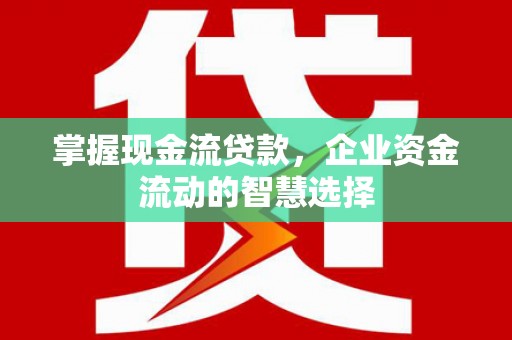 南投掌握现金流贷款，企业资金流动的智慧选择