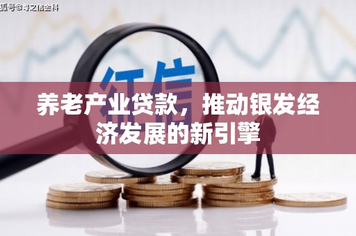 郴州养老产业贷款，推动银发经济发展的新引擎