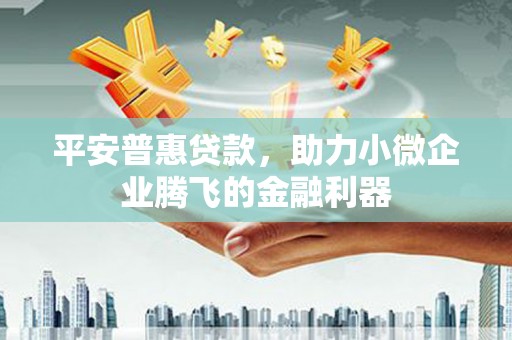 泸县平安普惠贷款，助力小微企业腾飞的金融利器