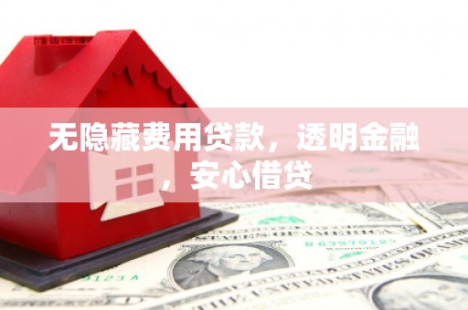 林甸无隐藏费用贷款，透明金融，安心借贷