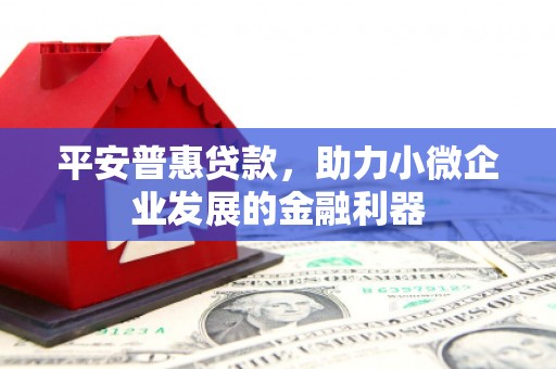 三星平安普惠贷款，助力小微企业发展的金融利器