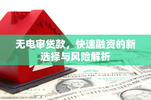 鹿草无电审贷款，快速融资的新选择与风险解析