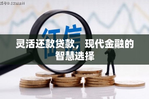 静宁灵活还款贷款，现代金融的智慧选择
