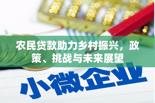 坦洲农民贷款助力乡村振兴，政策、挑战与未来展望