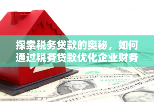 苏澳探索税务贷款的奥秘，如何通过税务贷款优化企业财务