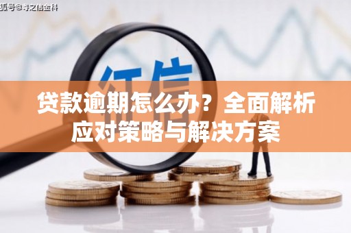 施甸贷款逾期怎么办？全面解析应对策略与解决方案