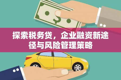 松溪探索税务贷，企业融资新途径与风险管理策略