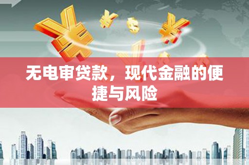 盐田无电审贷款，现代金融的便捷与风险