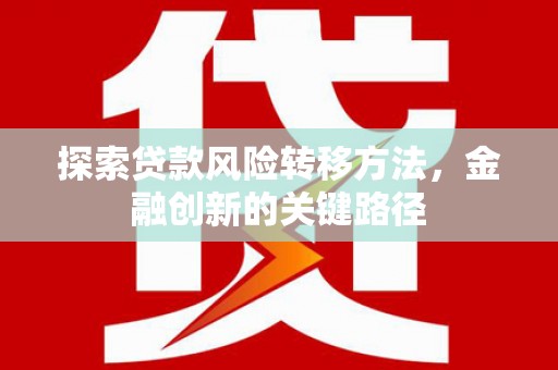 布袋探索贷款风险转移方法，金融创新的关键路径